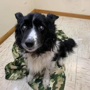 Meet your Posher, Jarod